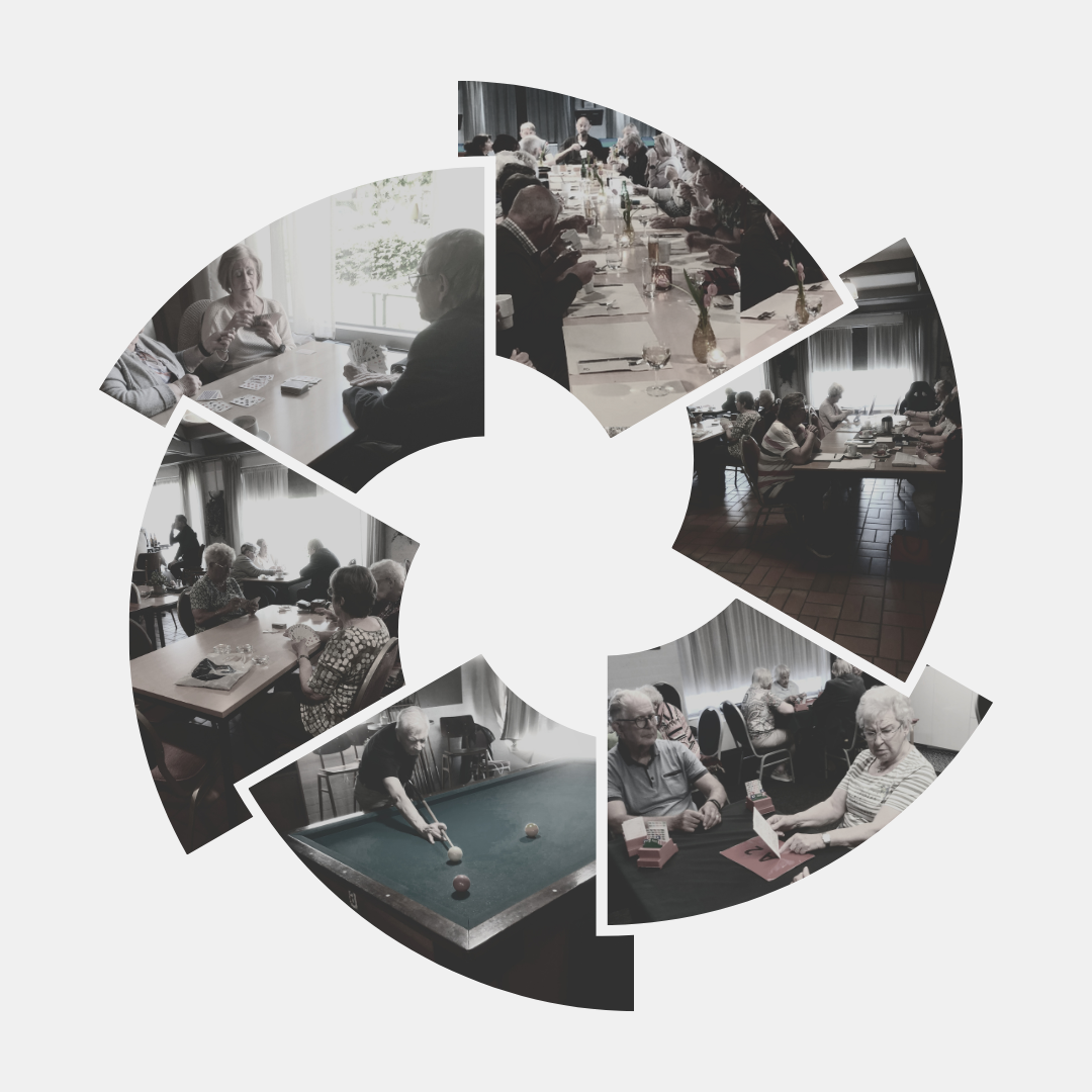 KBO het Zuiderlicht activiteiten